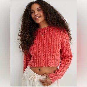 Aerie Coral Cable Knit Cropped Sweater